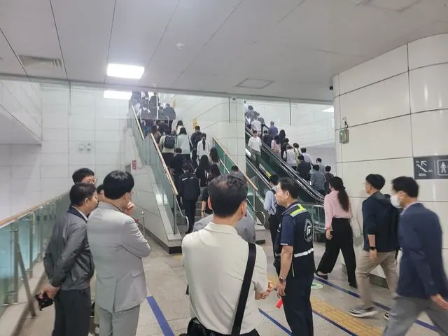 골드라인 현장 점검