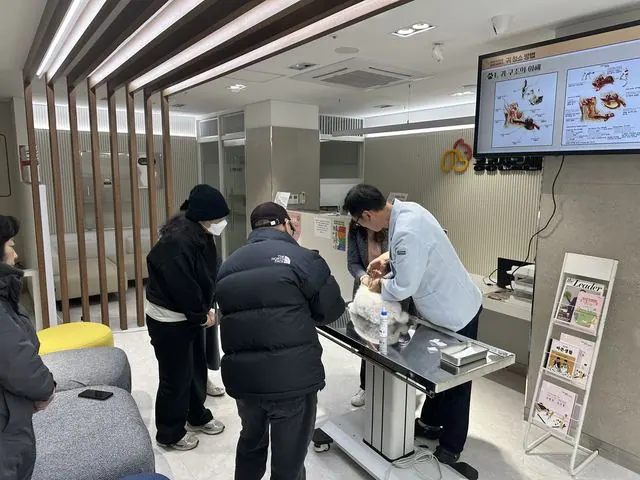 김포 반려동물 공공진료센터, 1년 6개월간 2,551마리 진료 사진 1