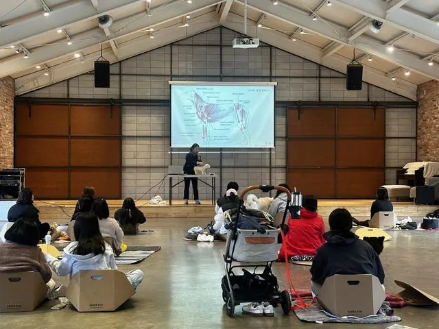 김포시 반려문화 교육 '댕댕 힐링클래스' 18팀 참여 사진 1