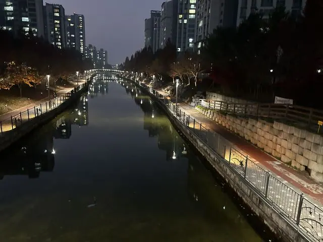 청송교 → 보도교 방향 야간 경관