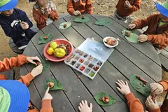 김포 유아숲체험·산림치유 프로그램 참여 3만명 넘어