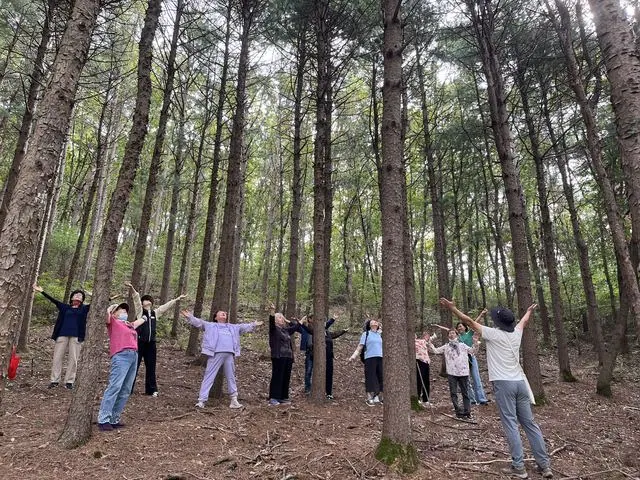 산림치유 프로그램