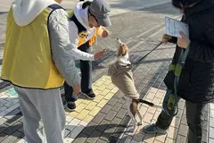 김포시, 11월 한 달간 동물등록 집중단속 캠페인 진행