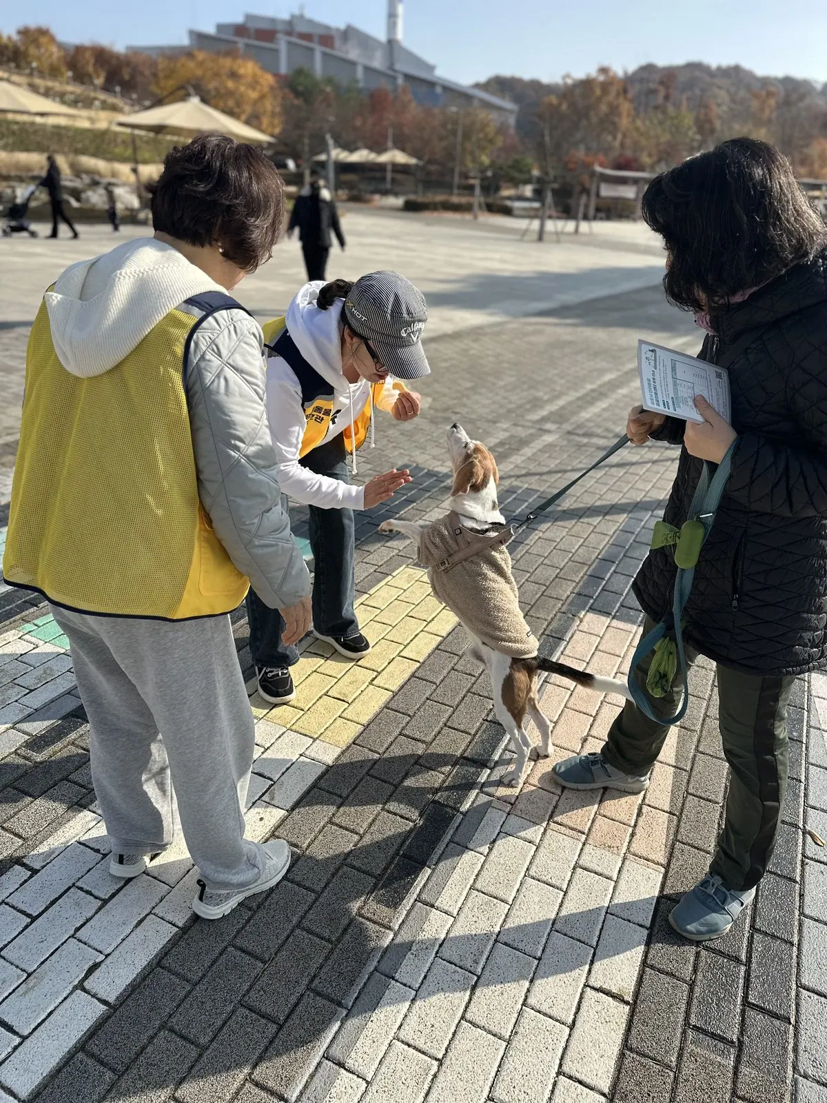 반려동물 관련 사진