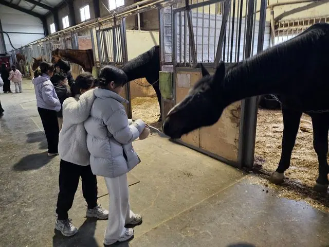 김포시 특화돌봄센터, 체험학습으로 아동 성장 지원 사진 1