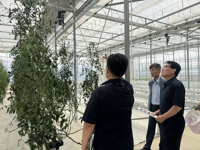 김포 통진읍 실증시험포, 아열대과수 4종 재배 점검 사진 1