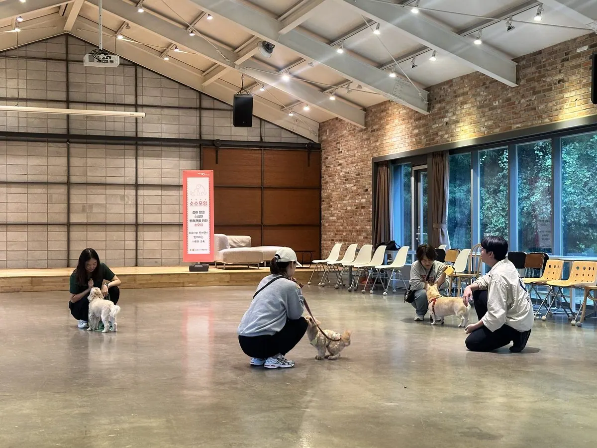 반려견 사회화 교육