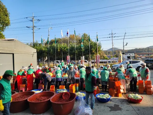 김포시새마을회, 김장김치 400통 취약계층에 전달 사진 1