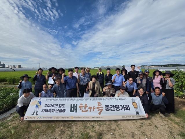 김포 벼 신품종 '한가득' 중간평가 사진 1
