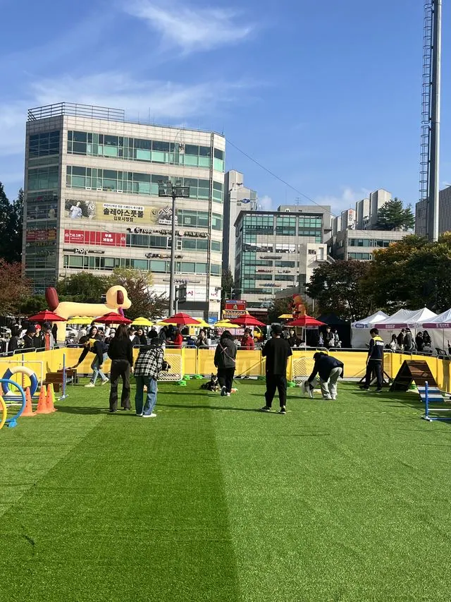 댕댕스포츠(기다릴개) 촬영