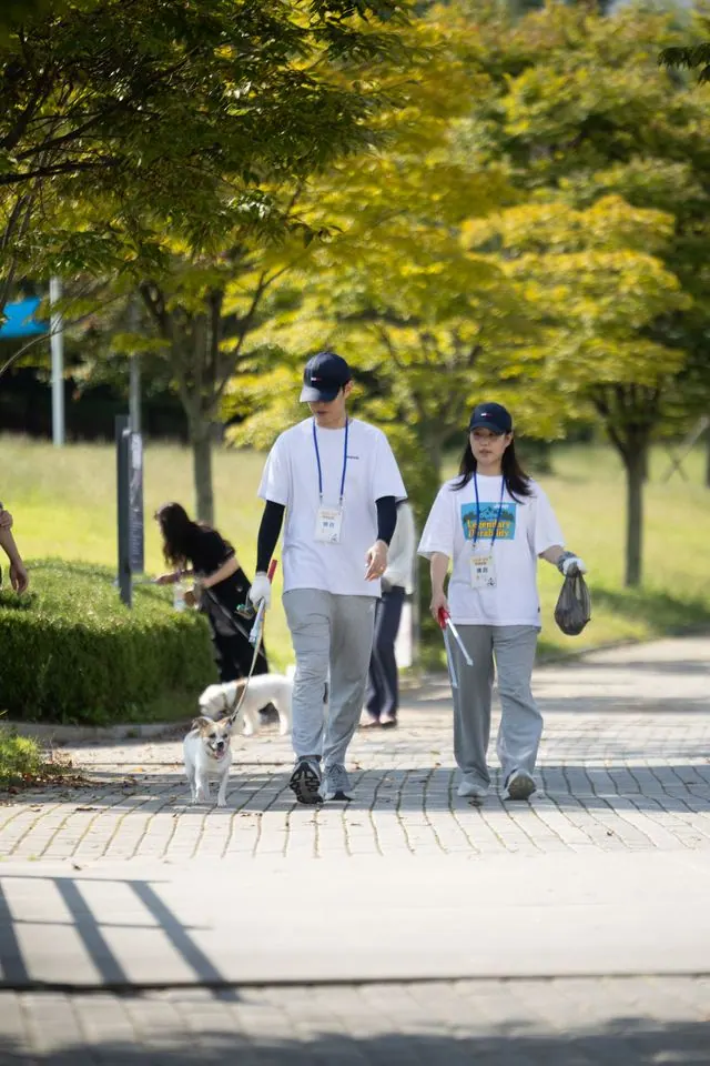 댕포터즈 펫로깅 및 피크닉