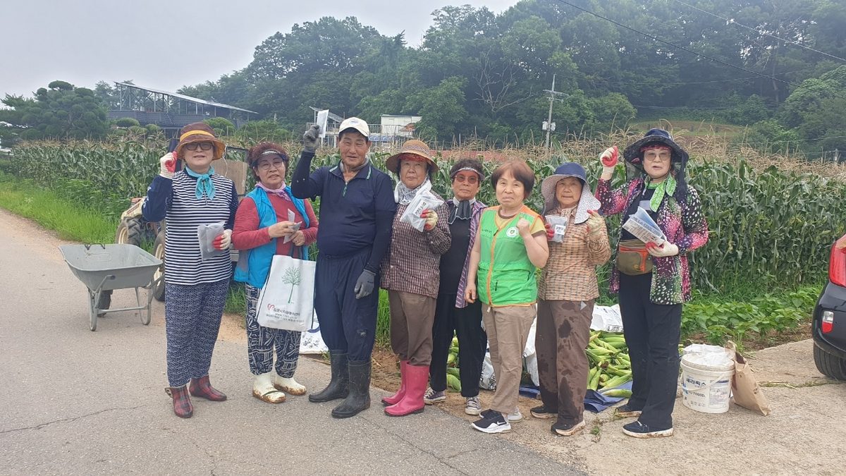 김포시 자율방재단이 읍면동 예찰활동에 나섰다.