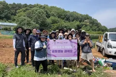 김포시4-H연합회, 하성면서 공동재배 감자 수확