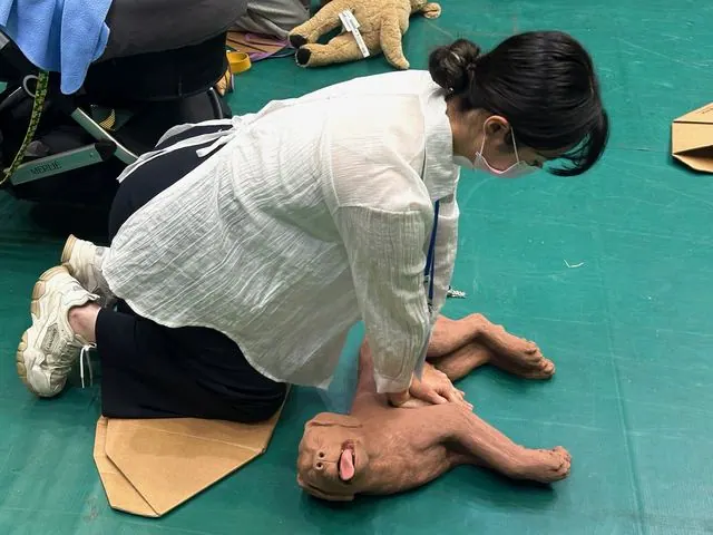 김포시, 반려견 심폐소생술·하임리히법 교육 실시 사진 1