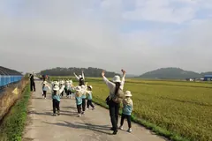 김포 황금들녘 걷기 행사, 10월 9~11일 보구곶리서