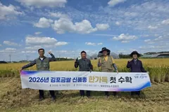 김포금쌀 '한가득' 첫 수확...10월 말부터 판매