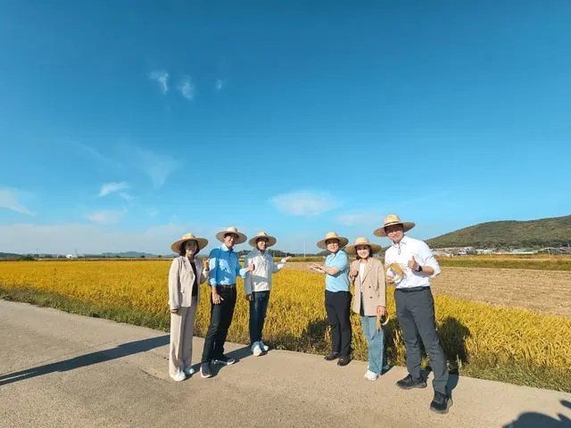 김포 보구곶 황금들녘 걷기행사, 9~11일 800여 명 참여 사진 3