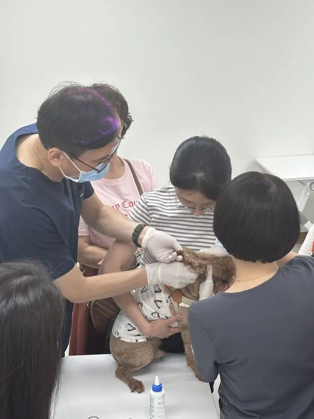 김포시, 반려견 귓병 관리 돌봄특강 개최…공공진료센터서 시연 사진 1