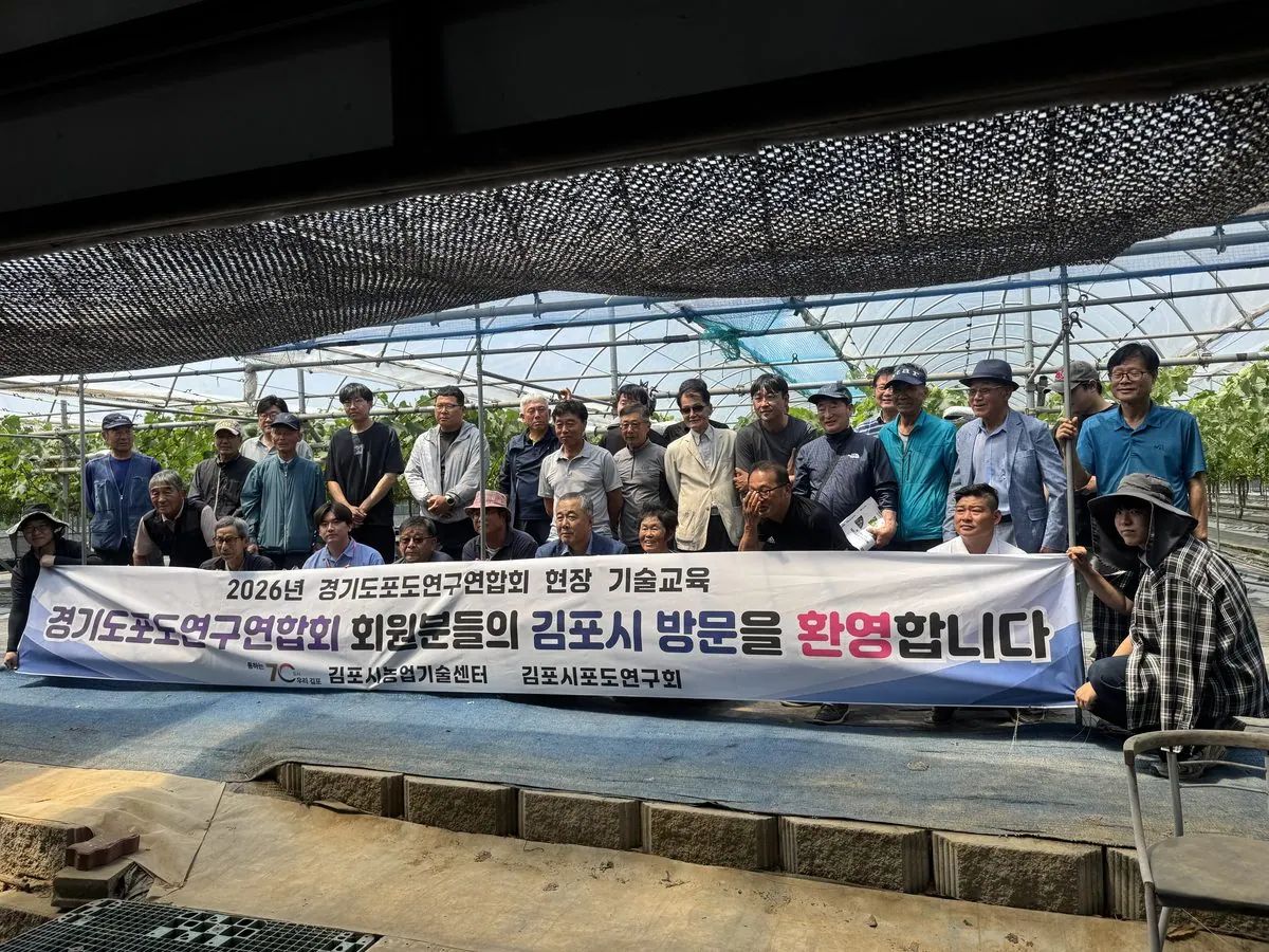 김포시농업기술센터, 여름철 포도 재배 현장교육 실시