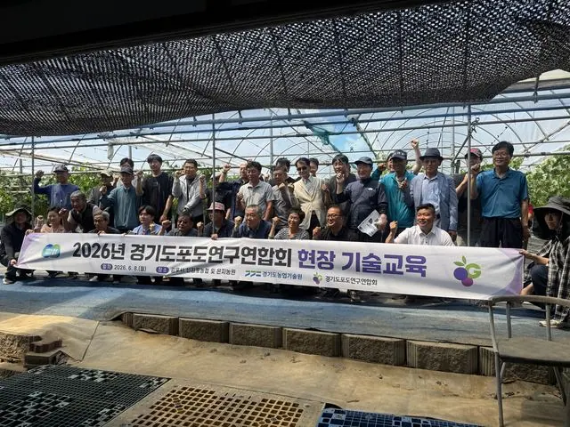 김포시농업기술센터, 여름철 포도 재배 현장교육 실시 사진 1
