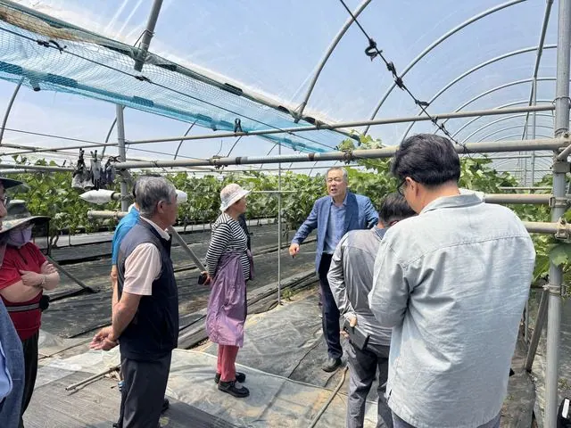 김포시농업기술센터, 여름철 포도 재배 현장교육 실시 사진 3