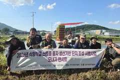 김포 '한가득' 벼 채종포 조성...자율교환 종자 김포서 생산
