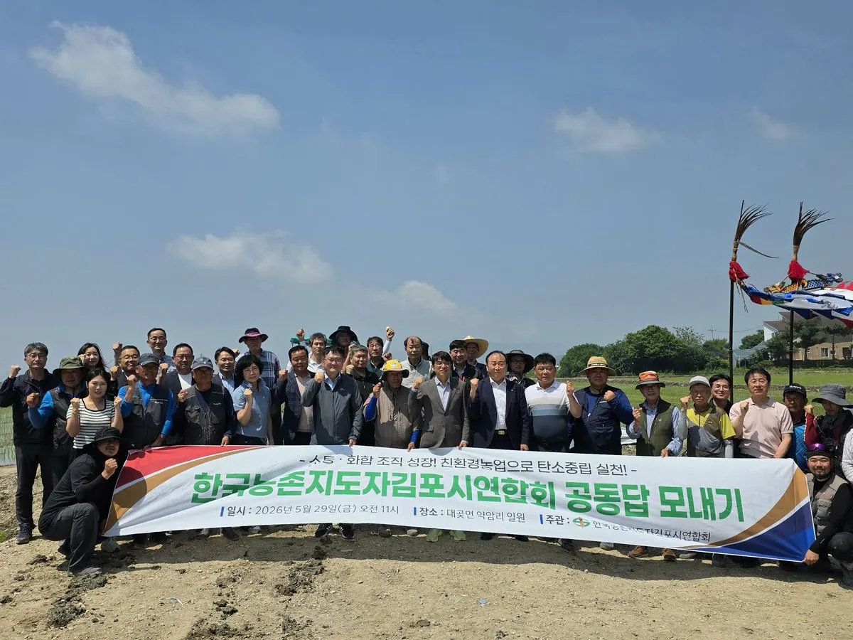 모내기 행사 사진