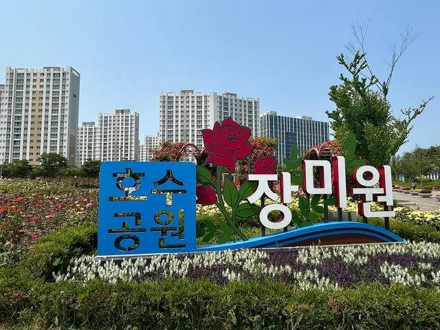 김포 호수공원 장미원, 143종 6만3천주 만개 사진 2