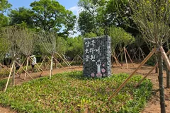 김포 양곡오라니공원에 무궁화 동산 조성 완료