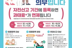 김포시, 5~6월 동물등록 신고하면 과태료 면제
