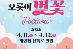 김포 벚꽃축제 11~12일 계양천서 열린다