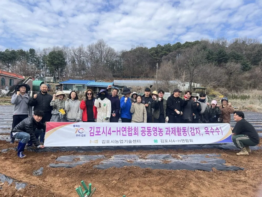 감자심기 행사