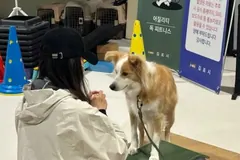 김포시 반려견 교육 두 과정 마무리, 6월 2기 예정