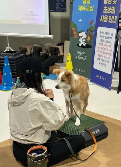 댕댕체육교실 중 독피트니스 프로그램을 진행하는 모습