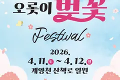 김포 벚꽃축제, 4월 11~12일 계양천서 열린다